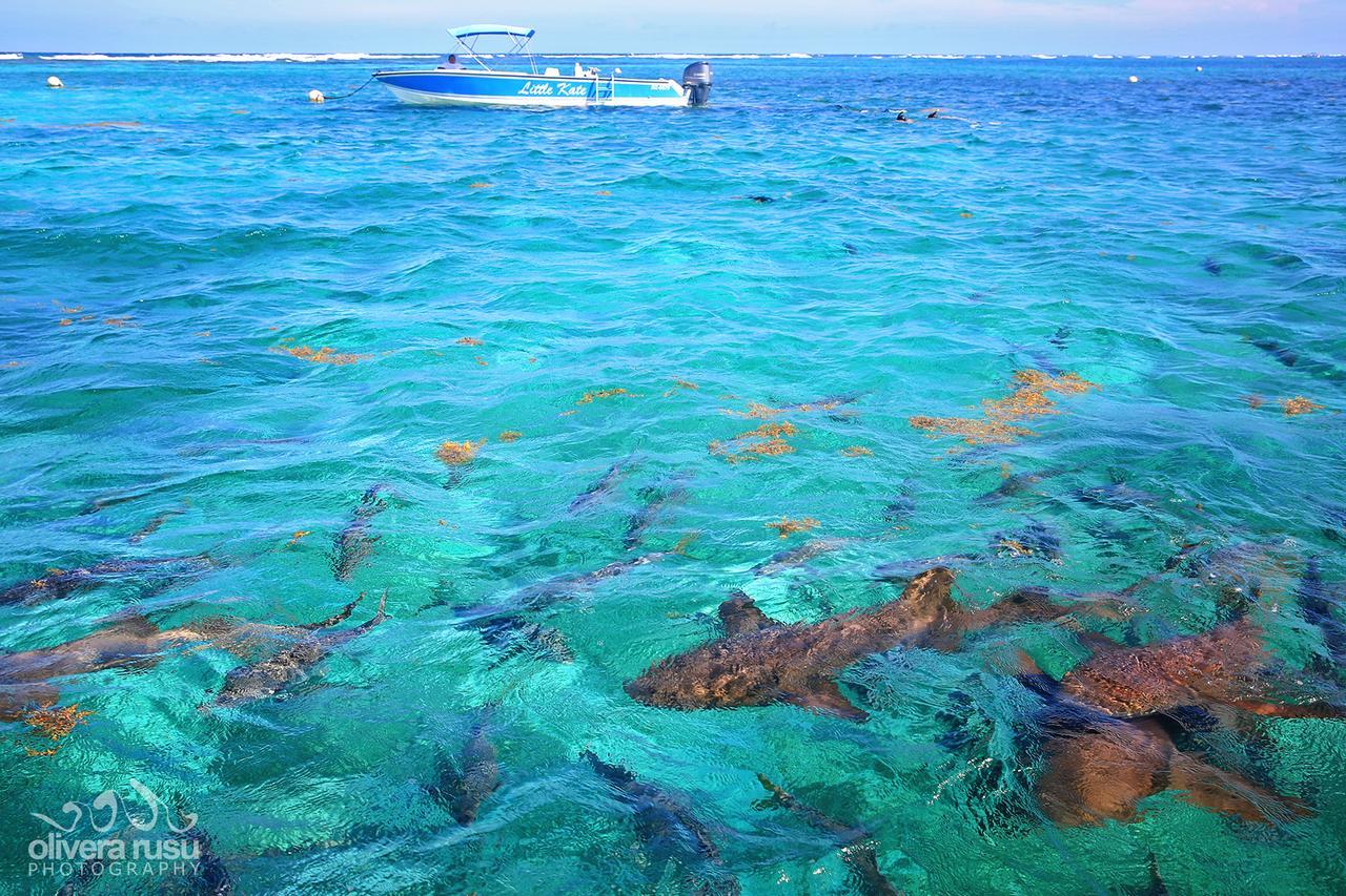 Cayo Espanto Сан-Педро Екстер'єр фото